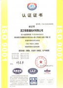 ISO 9001:2008（Chinese version）